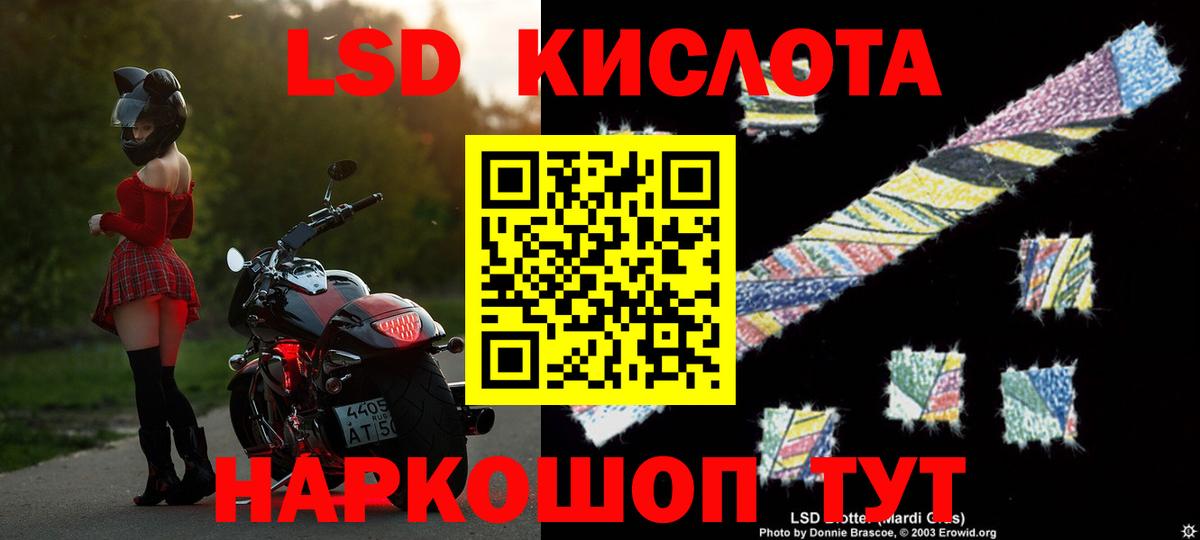 Конопля Димитровград